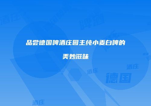 品尝德国啤酒庄园主纯小麦白啤的美妙滋味