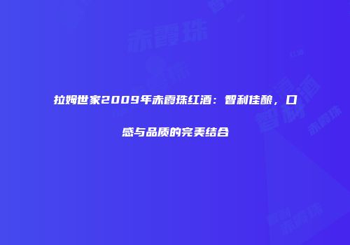 拉姆世家2009年赤霞珠红酒：智利佳酿，口感与品质的完美结合