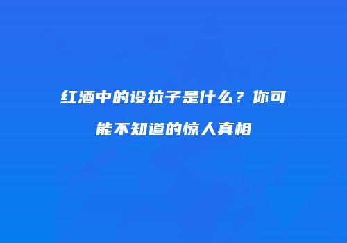 红酒中的设拉子是什么？你可能不知道的惊人真相