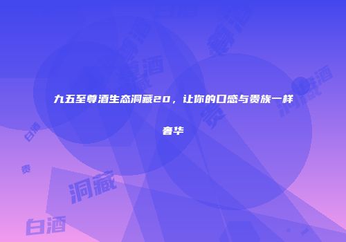 九五至尊酒生态洞藏20，让你的口感与贵族一样奢华