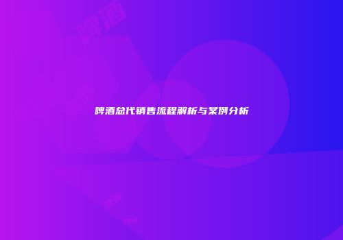 啤酒总代销售流程解析与案例分析
