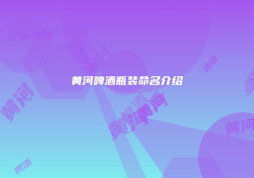 黄河啤酒瓶装命名介绍