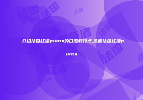 介绍法国红酒punta的口感和特点,品尝法国红酒punta