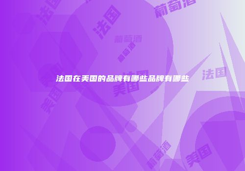 法国在美国的品牌有哪些品牌有哪些