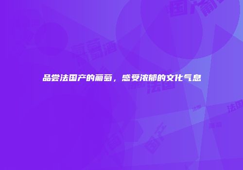 品尝法国产的葡萄，感受浓郁的文化气息