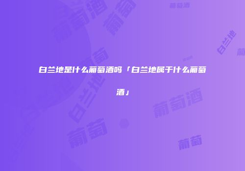 白兰地是什么葡萄酒吗「白兰地属于什么葡萄酒」
