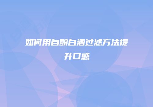 如何用自酿白酒过滤方法提升口感