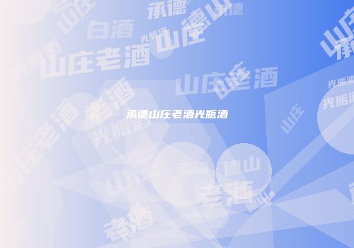 承德山庄老酒光瓶酒