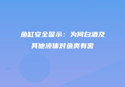 鱼缸安全警示：为何白酒及其他液体对鱼类有害