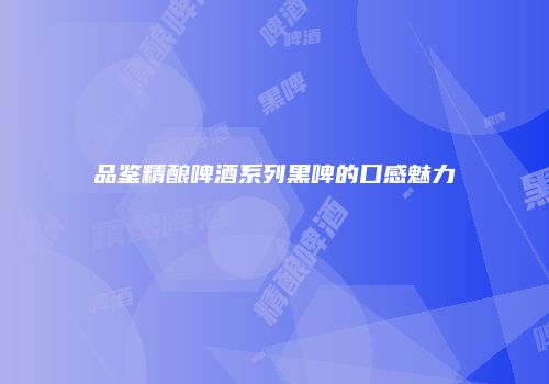 品鉴精酿啤酒系列黑啤的口感魅力