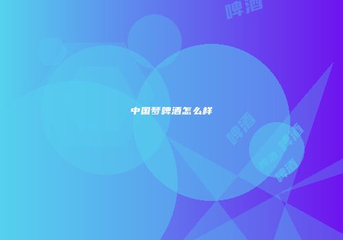 中国梦啤酒怎么样