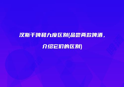 汉斯干啤和九度区别(品尝两款啤酒，介绍它们的区别)