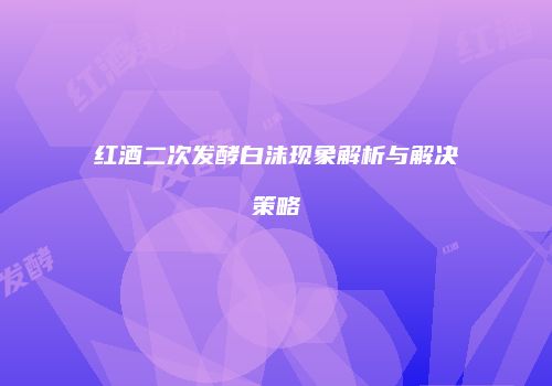 红酒二次发酵白沫现象解析与解决策略