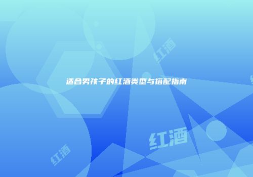 适合男孩子的红酒类型与搭配指南