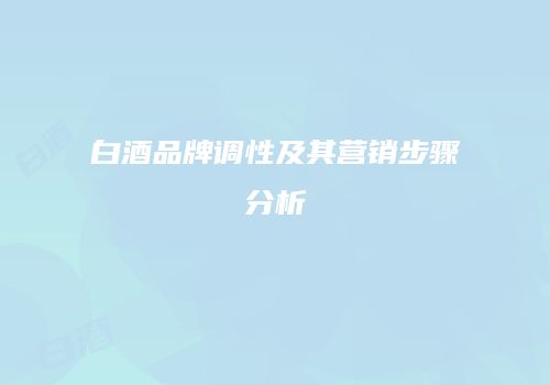 白酒品牌调性及其营销步骤分析