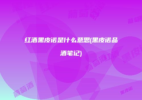 红酒黑皮诺是什么意思(黑皮诺品酒笔记)
