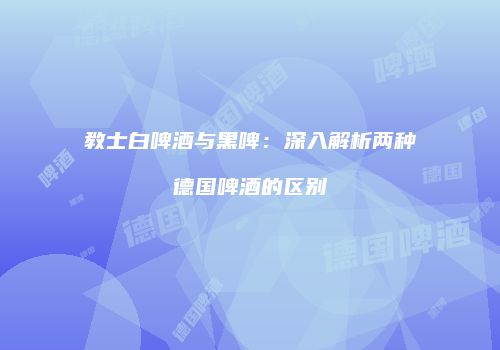 教士白啤酒与黑啤：深入解析两种德国啤酒的区别