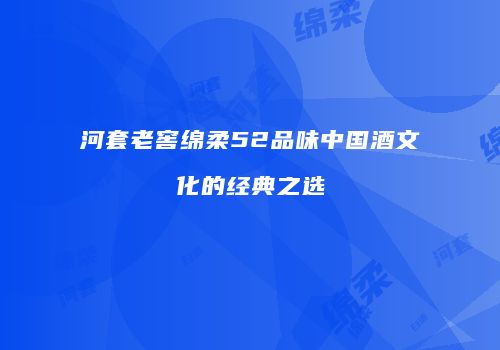 河套老窖绵柔52品味中国酒文化的经典之选