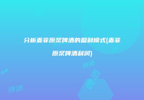 分析麦菲原浆啤酒的盈利模式(麦菲原浆啤酒利润)