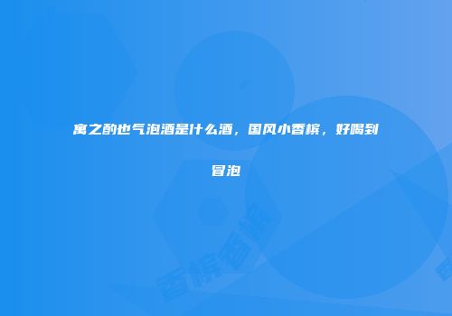 寓之酌也气泡酒是什么酒，国风小香槟，好喝到冒泡