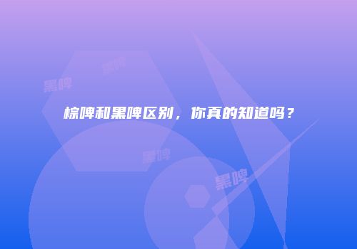 棕啤和黑啤区别，你真的知道吗？