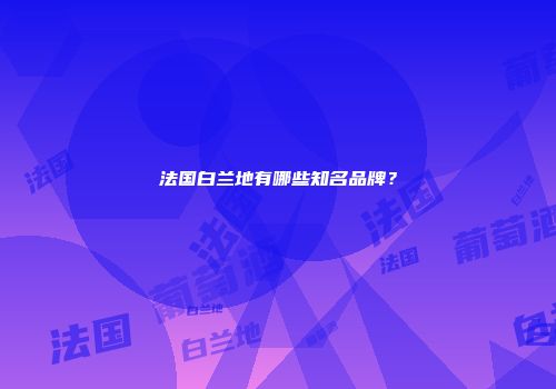 法国白兰地有哪些知名品牌？