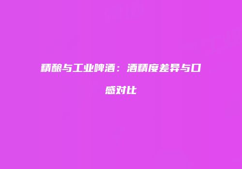 精酿与工业啤酒：酒精度差异与口感对比