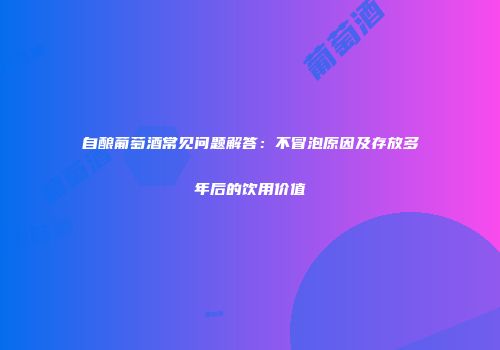 自酿葡萄酒常见问题解答：不冒泡原因及存放多年后的饮用价值