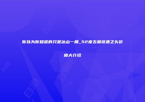 你以为你知道的只是冰山一角_52度五粮液酒之头价格大介绍