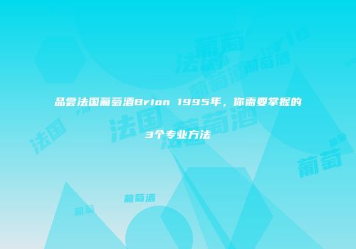 品尝法国葡萄酒Brion 1995年，你需要掌握的3个专业方法