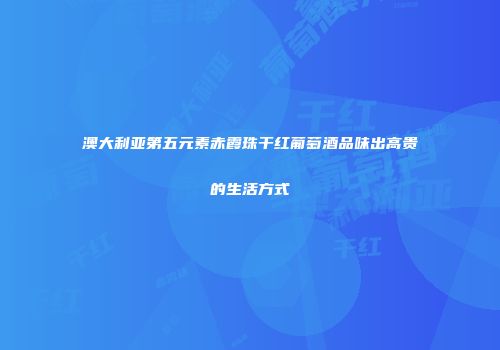 澳大利亚第五元素赤霞珠干红葡萄酒品味出高贵的生活方式