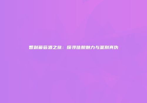 智利葡萄酒之旅：探寻佳酿魅力与鉴别真伪