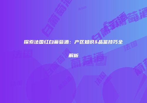 探索法国红白葡萄酒：产区知识&品鉴技巧全解析
