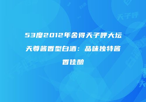 53度2012年舍得天子呼大坛天尊酱香型白酒：品味独特酱香佳酿