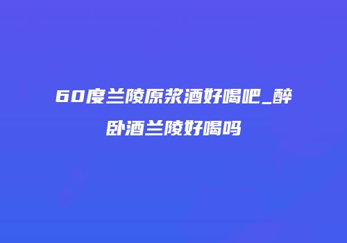 60度兰陵原浆酒好喝吧_醉卧酒兰陵好喝吗