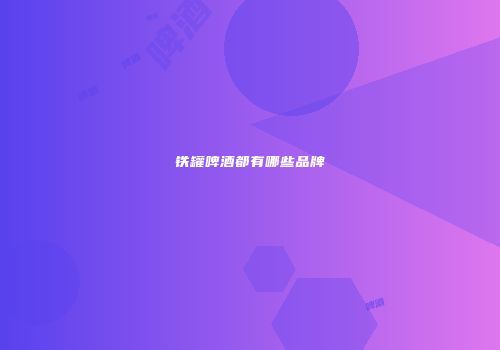 铁罐啤酒都有哪些品牌
