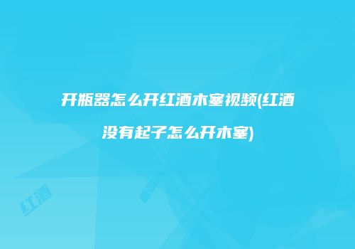 开瓶器怎么开红酒木塞视频(红酒没有起子怎么开木塞)