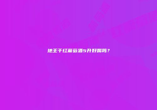 地王干红葡萄酒5升好喝吗？