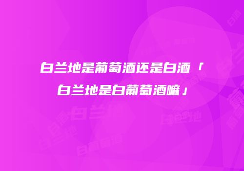 白兰地是葡萄酒还是白酒「白兰地是白葡萄酒嘛」
