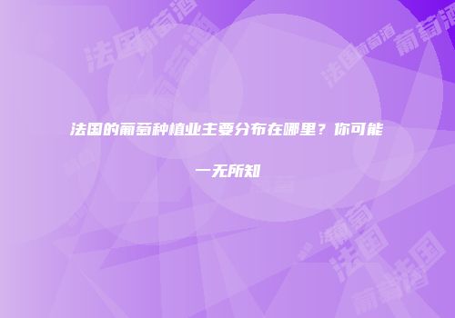 法国的葡萄种植业主要分布在哪里？你可能一无所知