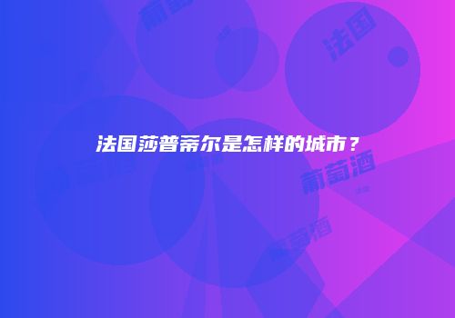 法国莎普蒂尔是怎样的城市？