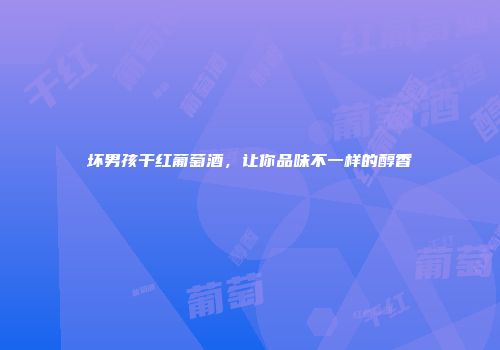 坏男孩干红葡萄酒，让你品味不一样的醇香