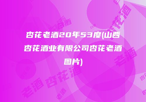 杏花老酒20年53度(山西杏花酒业有限公司杏花老酒图片)