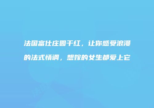 法国富仕庄园干红，让你感受浪漫的法式情调，想嫁的女生都爱上它
