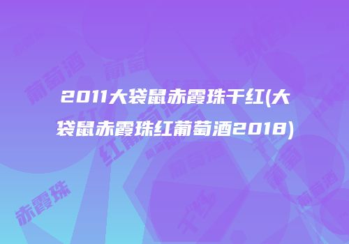 2011大袋鼠赤霞珠干红(大袋鼠赤霞珠红葡萄酒2018)