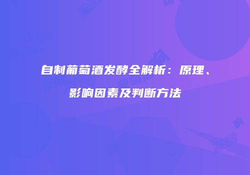自制葡萄酒发酵全解析：原理、影响因素及判断方法
