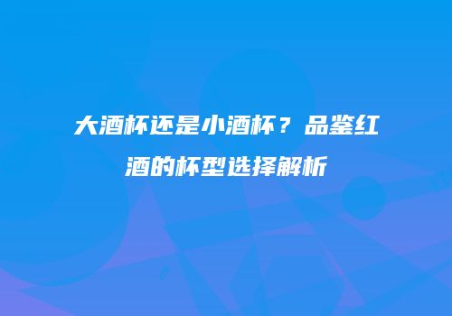 大酒杯还是小酒杯？品鉴红酒的杯型选择解析