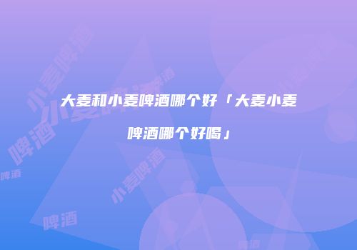 大麦和小麦啤酒哪个好「大麦小麦啤酒哪个好喝」