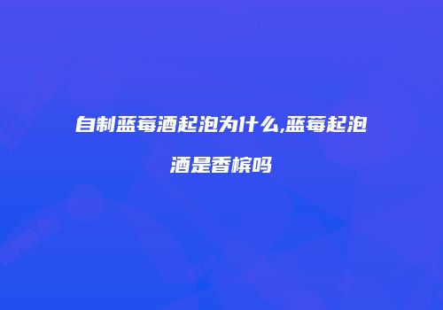 自制蓝莓酒起泡为什么,蓝莓起泡酒是香槟吗