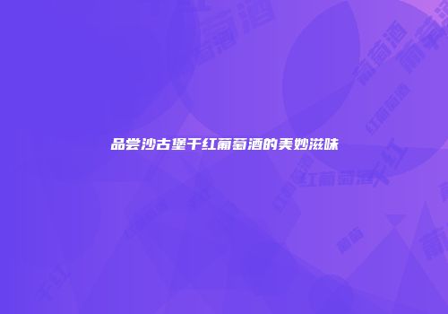 品尝沙古堡干红葡萄酒的美妙滋味